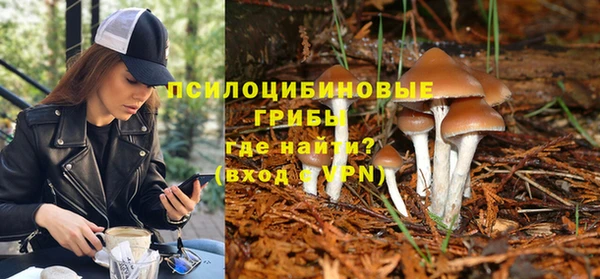 таблы Сатка