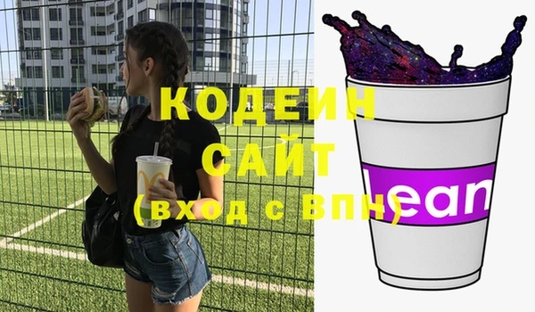индика Козловка