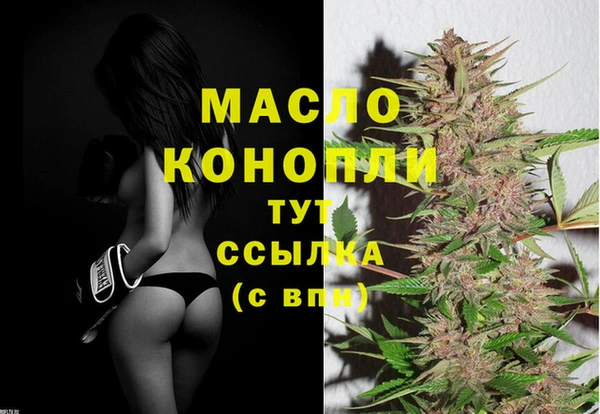 гашик Козельск
