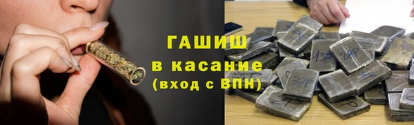 гашик Козельск