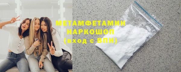 индика Козловка