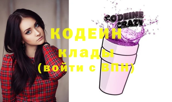 гашик Козельск