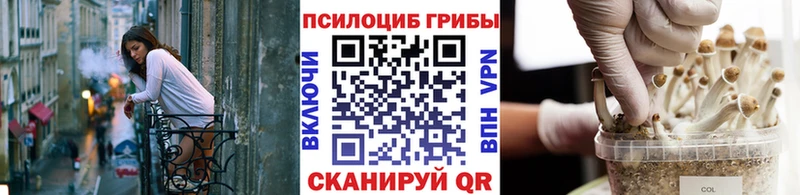 Псилоцибиновые грибы Psilocybe  Дыгулыбгей 